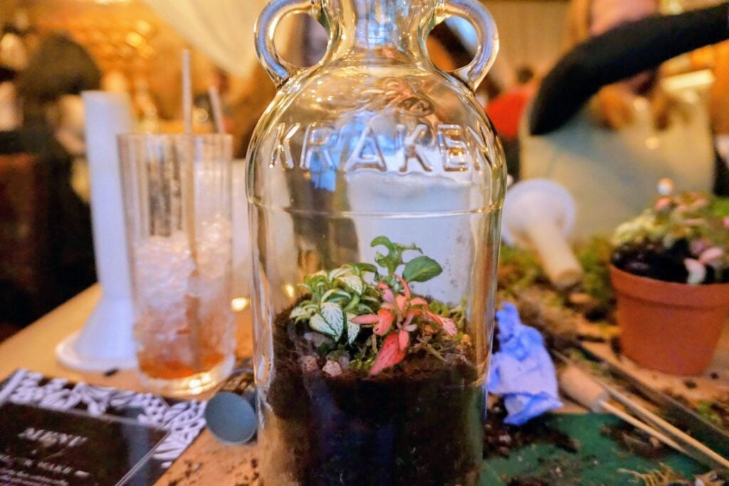 A terrarium from an upcycling old bottles workshop with Kraken Rum