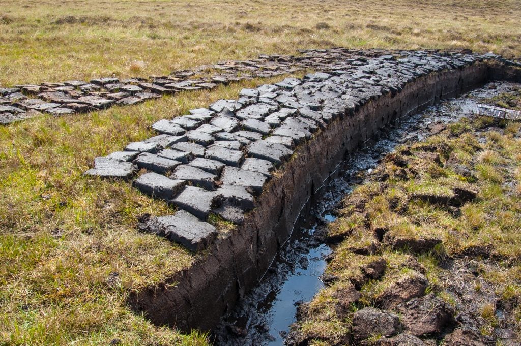 Everything you wanted to know about peat | master of malt BLOG