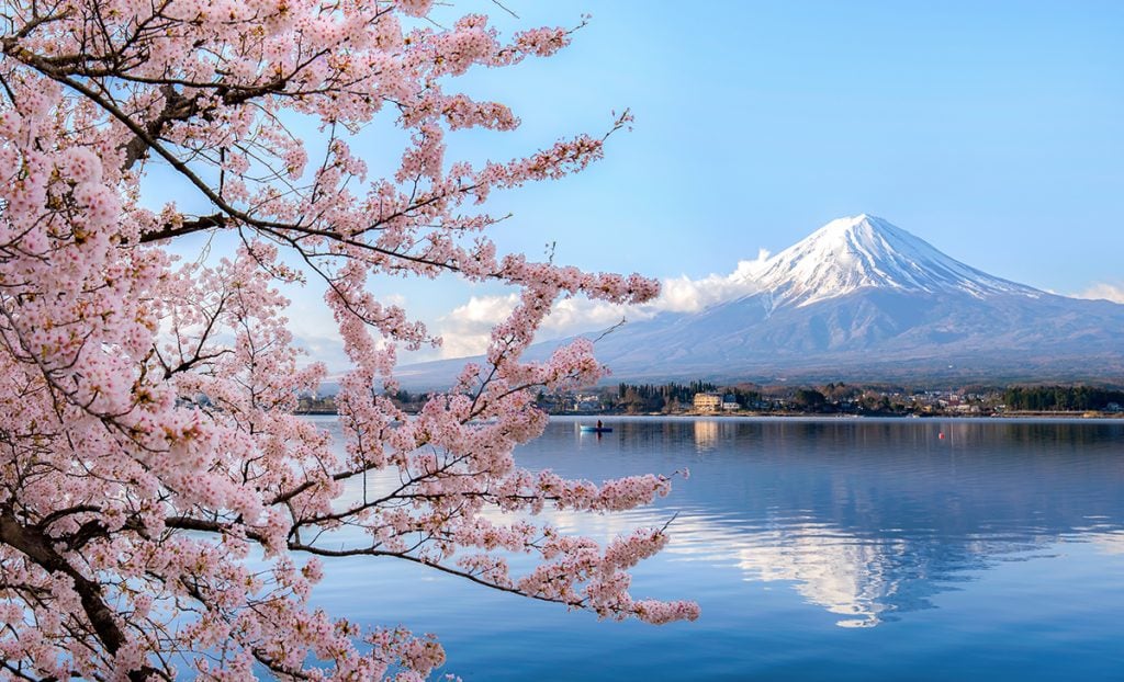 How to get into the spirit of Sakura Season | Master of Malt Blog